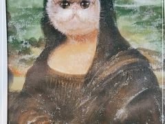 -喵屿·大理花园猫咖