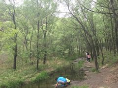 -碓臼峪自然风景区