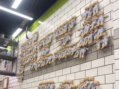 -MT麦如麦立送(五矿live店)