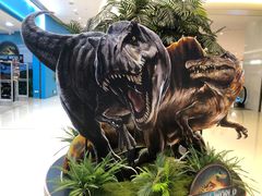 -TOYSRUS玩具反斗城(上海万象城店)