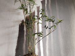 -南堂馆·新川菜(天府三街店)
