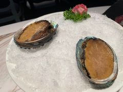 鲍鱼-汤城·料青山