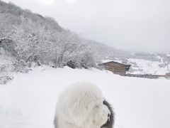 -太子岭滑雪场