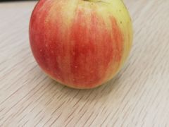 -百果园PAGODA(应元路店)