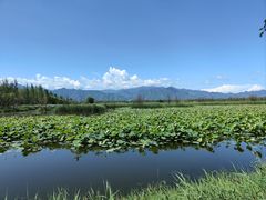 -野鸭湖国家湿地公园