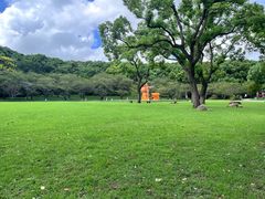 -苏州上方山国家森林公园