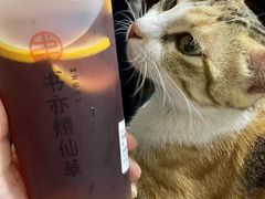 -书亦烧仙草(新都会店)