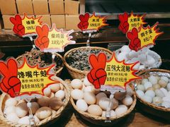 -鸽子窝(青塔店)