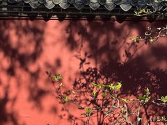 -泰山风景名胜区-普照寺