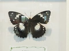 -南通洲际绿博园