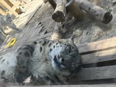 -青藏高原野生动物园
