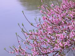 -东华大学(松江校区)