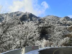 -秦岭风景区