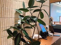 -CURRY YA 熟成咖哩專門店(深圳湾万象城店)