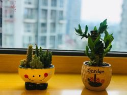 -哈颜科技轻美·