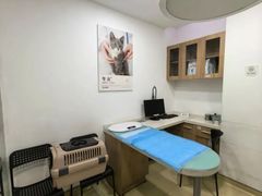 -艾贝尔宠物医院·24H转诊中心·肿瘤猫专科(江宁双龙店)