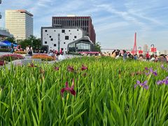 -丹东路渡口(轮渡站)