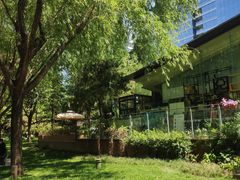 -唐城墙遗址公园