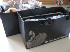 IMG_0624-BLACKSWAN黑天鹅(环球店)