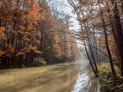 -桤木河湿地公园