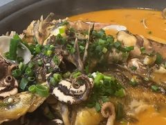 -新天明砂锅鱼头煲