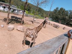 -大连森林动物园