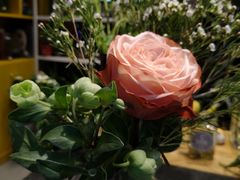 -杭州街角花屋花店(闻堰店)
