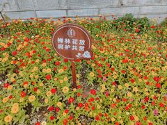 -五祖寺