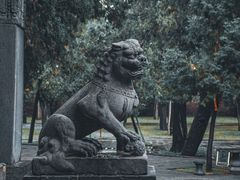 -关林