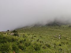 -白草畔自然风景区