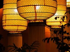 -叶叶菩提·晋福宫