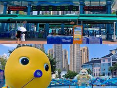 -海合安成都极地海洋公园