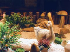 -嘉禾·悦享餐厅(八方汇店)