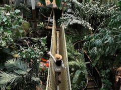 -正佳雨林生态植物园