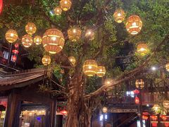-闲亭(九眼桥店)