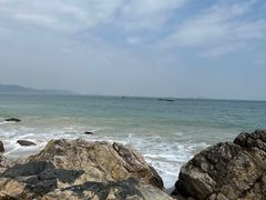 -杨梅坑