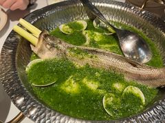 -狮拾久·现代新加坡料理(福田COCO Park店)