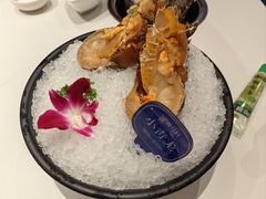 -海月轩海鲜豆捞(紫金塔店)