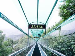 -灵栖洞天