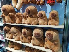 -潮品挚尚(五角场苏宁易购店)