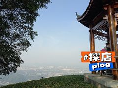 -黄埔油麻山森林公园