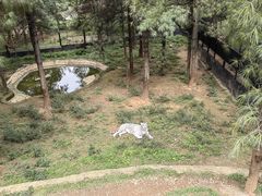 -云南野生动物园