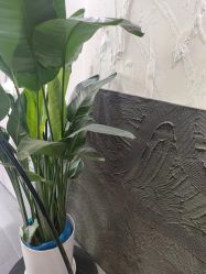 -春田皮肤管理中心品牌旗舰店