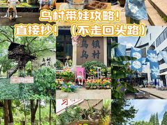 -乌村