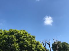 -金砂公园