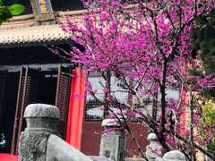 -苏州文庙(姑苏区)