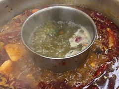 -金鼎雪山牦牛杂火锅(理县总店)