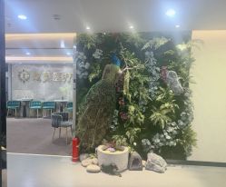 -北京炫美医疗美容