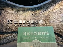 -国家自然博物馆