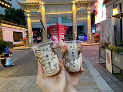 -眞宗·椰汁是大王(小娄巷店)